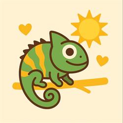 Studio Opalania Kameleon Solarium