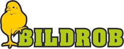 Bildrob S.C
