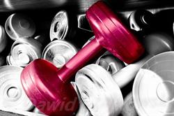 RKF. Rodzinny kompleks fitness