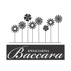Baccara. Kwiaciarnia. Bednarek m.