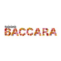 Baccara Nowa. Kwiaciarnia. Wasilewski K