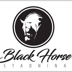 Black Horse. Stadnina Koni