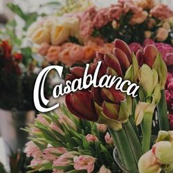 Casablanca Hurtownia kwiatów żywych, kwiatów sztucznych oraz art. dekoracyjnych