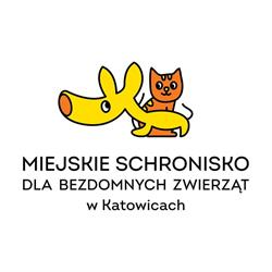 Schronisko Dla Bezdomnych Zwierząt