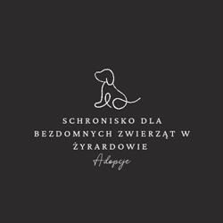 Schronisko Dla Bezdomnych Zwierząt