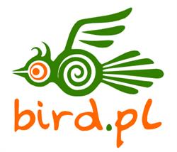 Bird Service. Turystyka