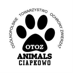 Ciapkowo. Schronisko Dla Bezdomnych Zwierząt