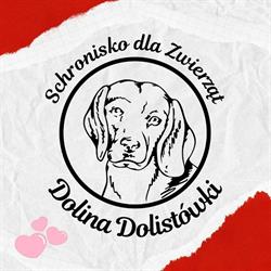 Schronisko Dla Zwierząt