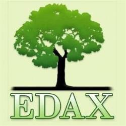 Edax. Międzynarodowe biuro podatkowe