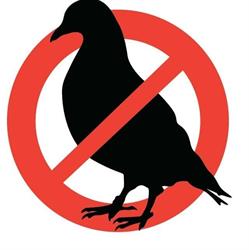Bird Control s.c.
