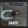 Dodane przez klienta firmy 20.04.2017