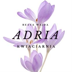 Kwiaciarnia ADRIA, Beata Wajda