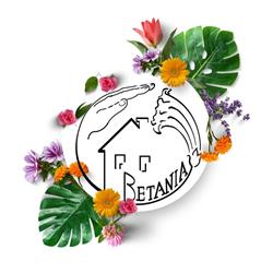 Betania. Dom Pomocy Społecznej