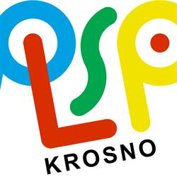 Liceum Plastyczne im. T. Brzozowskiego