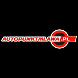 Auto-Punkt. Autoszyby