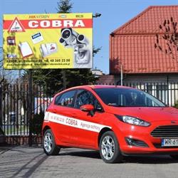 Alarm Cobra System