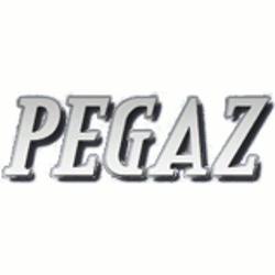 "Pegaz" Firma Marian Stopa