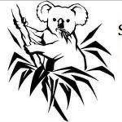 Koala. Sklep Zoologiczny