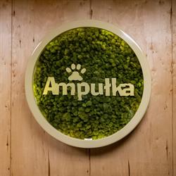 Ampułka Specjalistyczna Przychodnia Weterynaryjna