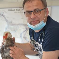 Cztery Łapy. Gabinet weterynaryjny. Blicharz A., lek. wet.
