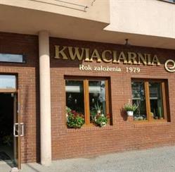 Aldona. Kwiaciarnia. Kudrycka A.