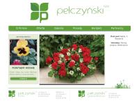 Pełczyński. Gospodarstwo ogrodnicze