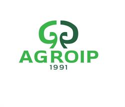 Agroip. Sp. Z O.o. Skup, Handel, Przetwórstwo Pieczarek