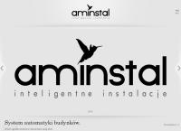 Strona internetowa z Aminstal
