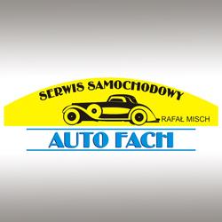 Auto Fach. Blacharstwo, Naprawa i Obsługa Pojazdów Mechanicznych. Misch r.