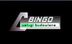 Bingo. Usługi Budowlane