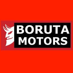 Boruta Motors. Obsługa Diagnostyczna Pojazdów