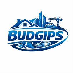 BUDGIPS