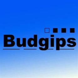 BUDGIPS