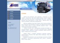 Casus. Dudzik M.