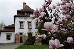 Dwór Karwacjanów. Galeria Sztuki