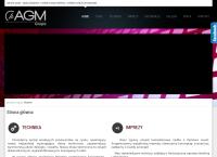 AGM. Obsługa techniczna imprez