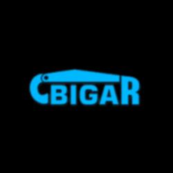 Bigar. S.j. Bik Krzysztof, Gardyza Zbigniew