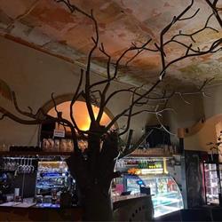 Cafe Botanica. Kawiarnia