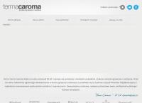 Caroma. Armatura Grzewcza i Sanitarna