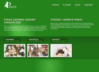 Pinus Phup. Ozdoby Choinkowe - Rośliny Sztuczne