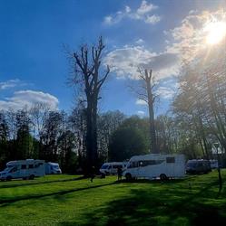 Camping nr 103 "Clepardia"