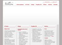 Consulting Plus