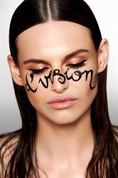 D'Vision Model Management