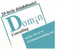 Domin Consulting