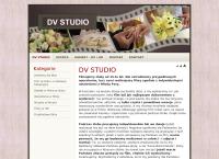 Dv Studio. Produkcja Filmów Wideo