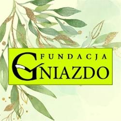Gniazdo. Fundacja Dla Ludzi Potrzebujących Pomocy. Śląska Szkoła Trenerów