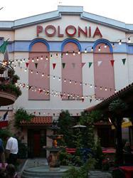 Polonia. Kino