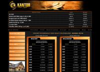 Jopek Adam. Kantor Wymiany Walut