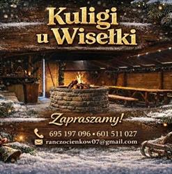 Wis-Tur. Kuligi Doliną Białej Wisełki. Wisełka P.