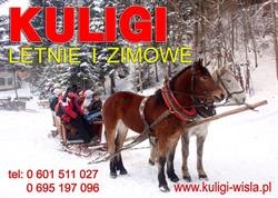 Wis-Tur. Kuligi Doliną Białej Wisełki. Wisełka P.